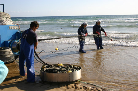 Hauling Nets