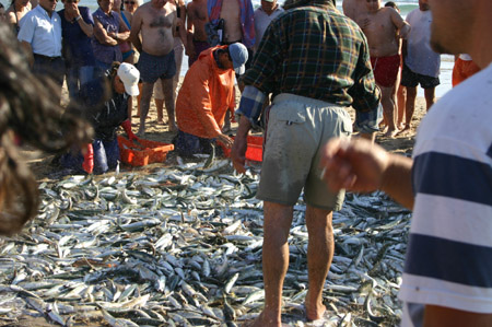 The Catch